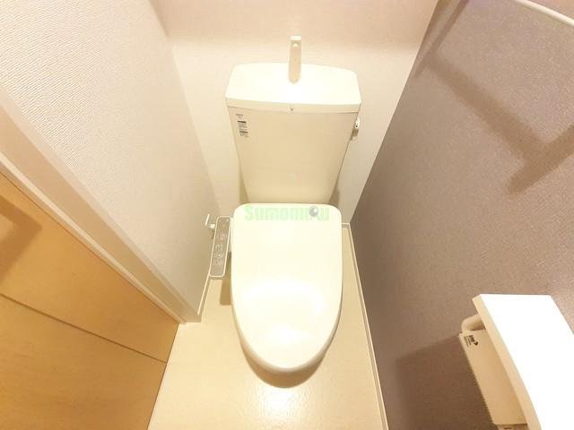 8/20 その他画像