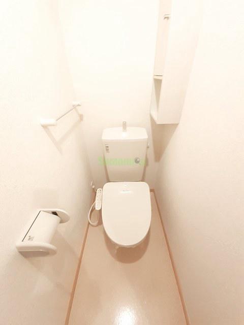 8/20 その他画像