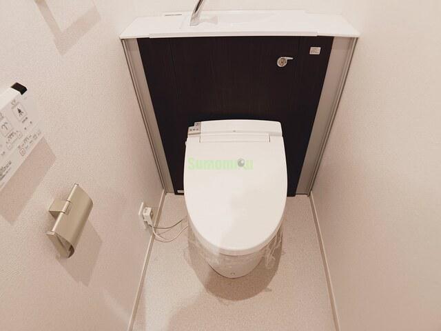 8/20 その他画像