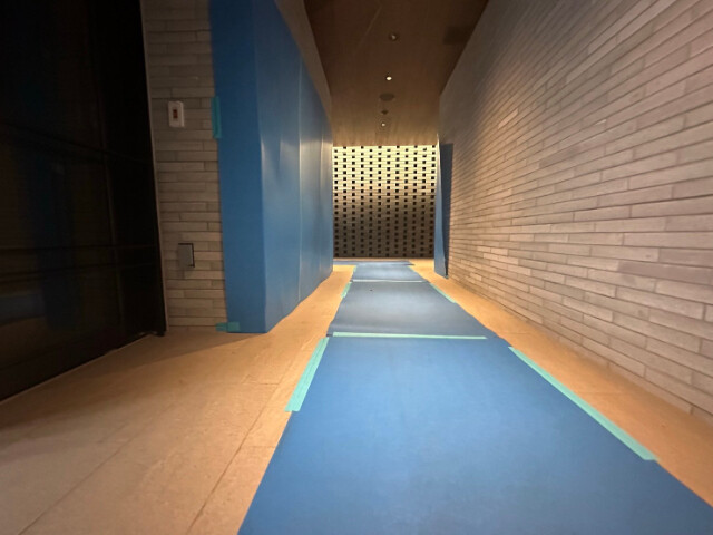 3/19 その他画像