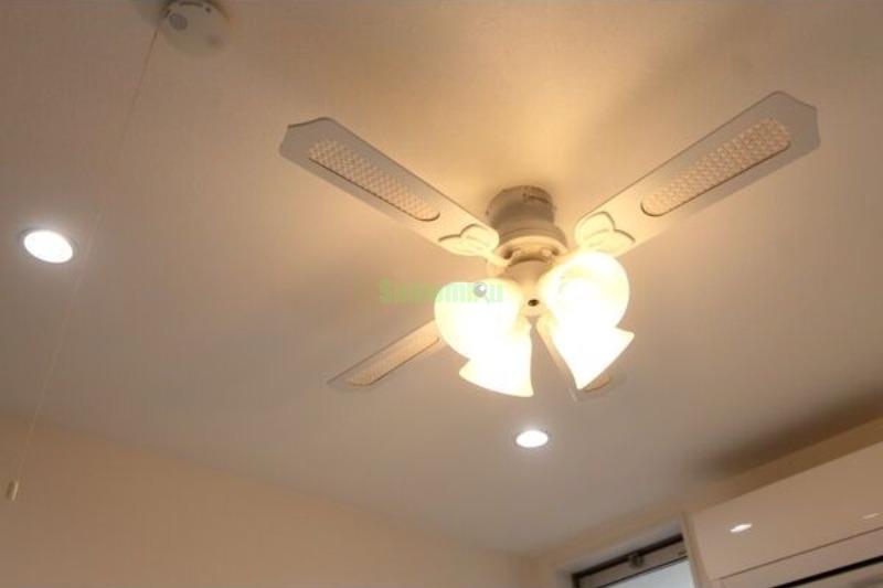 11/17 その他画像