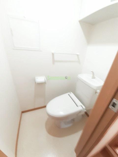 8/20 その他画像