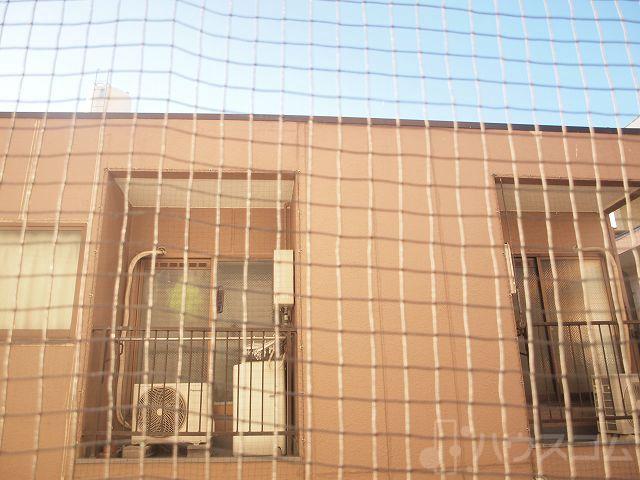 19/29 その他画像