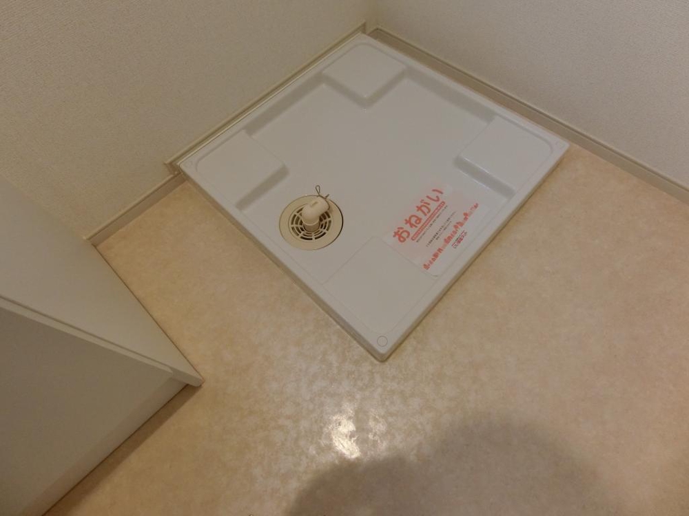 20/29 その他画像