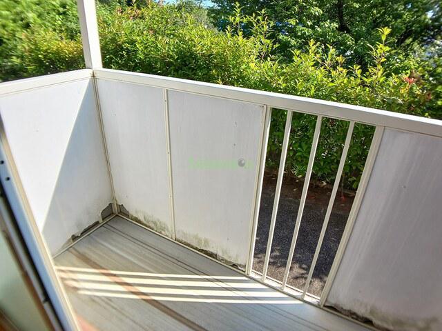 11/20 その他画像