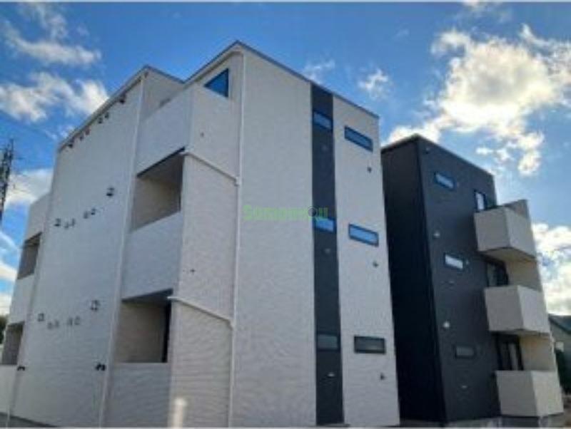 13/19 その他画像