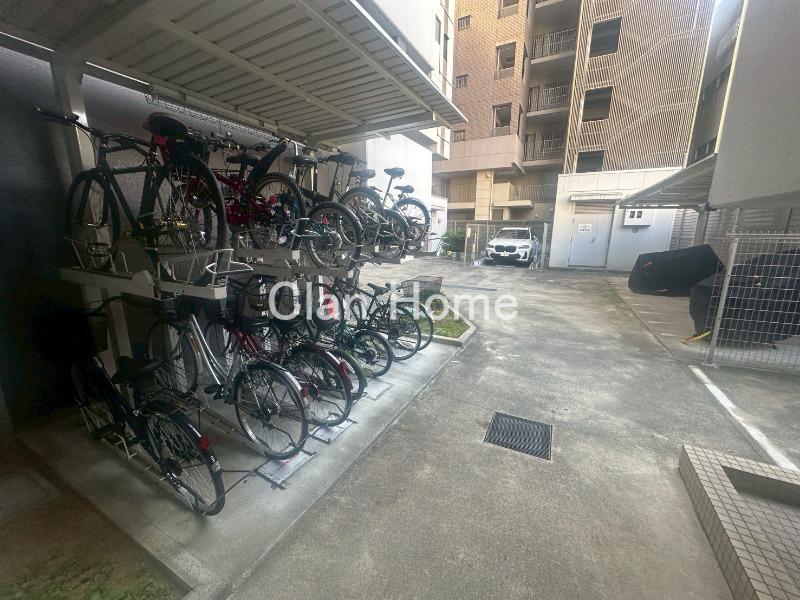 25/30 その他画像