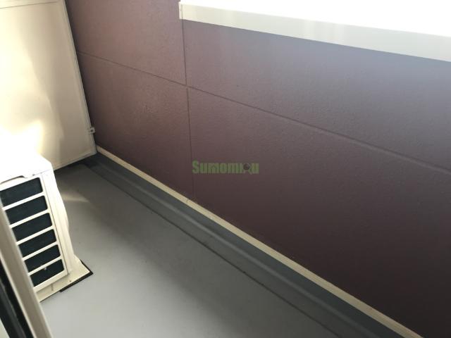 24/29 その他画像