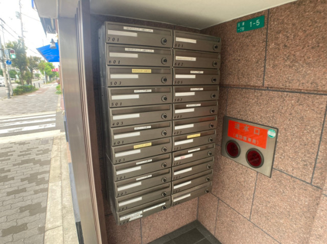 6/19 その他画像