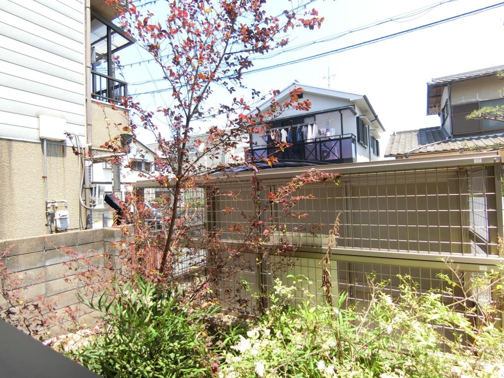 24/30 その他画像