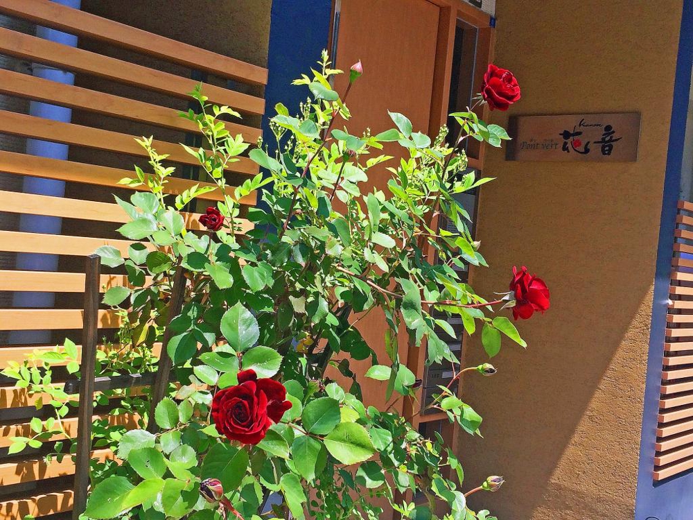 29/30 エントランス