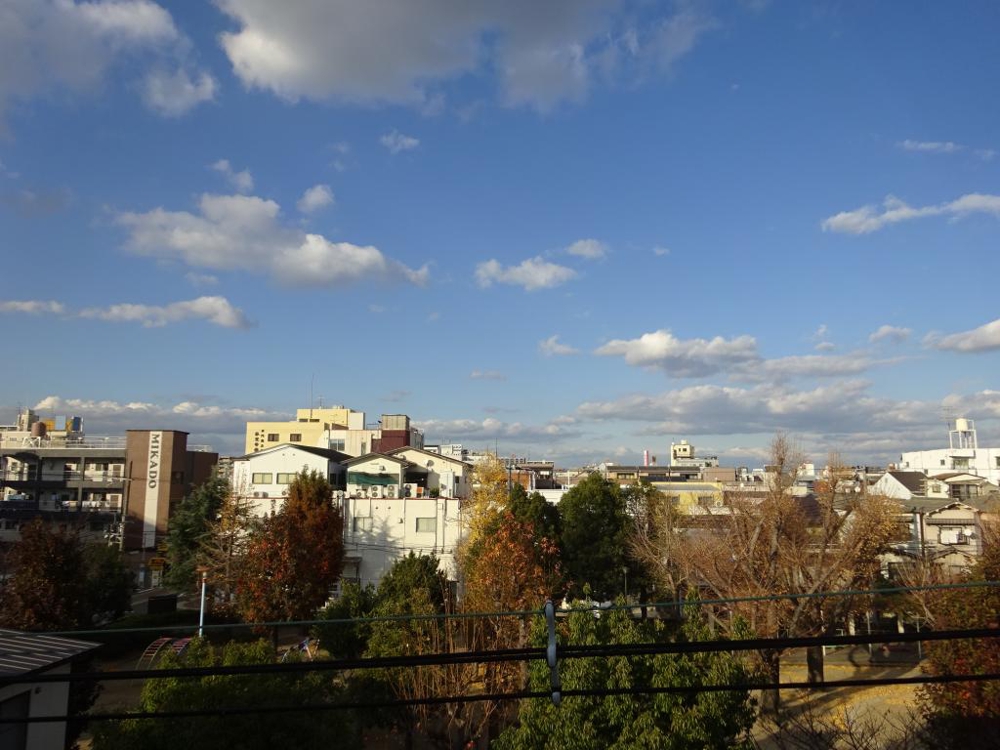 29/30 その他画像