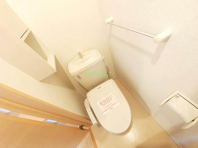 8/20 その他画像