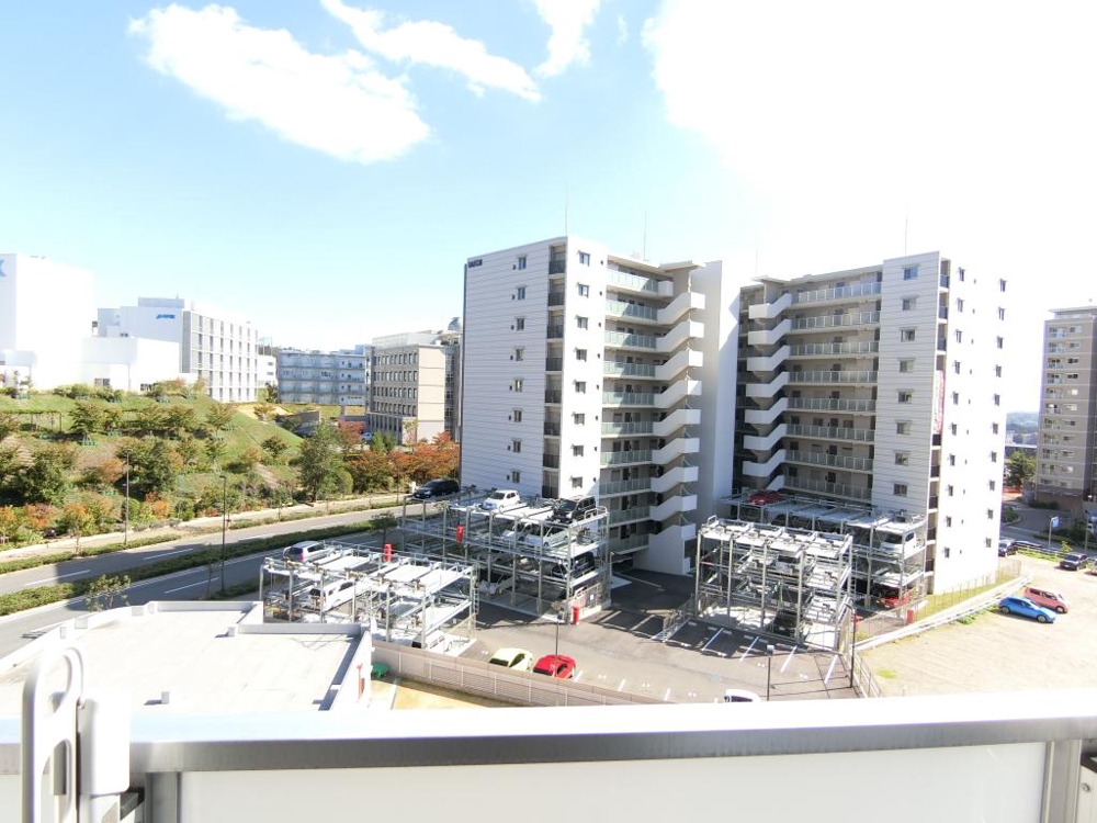 20/30 その他画像