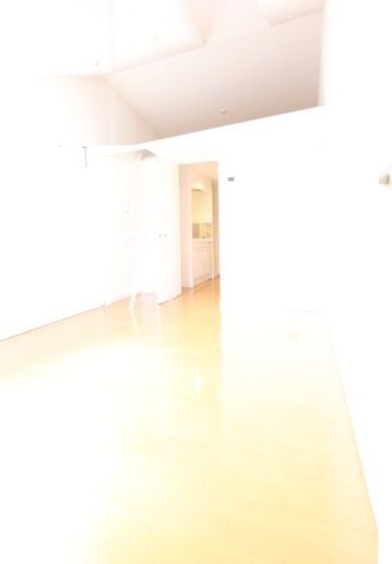 11/19 その他画像