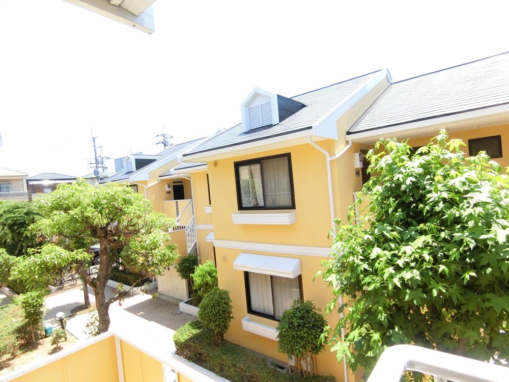 21/29 その他画像