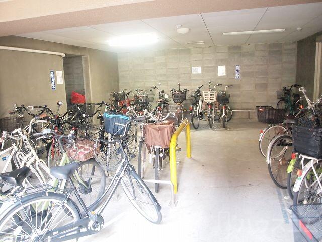 5/16 その他画像