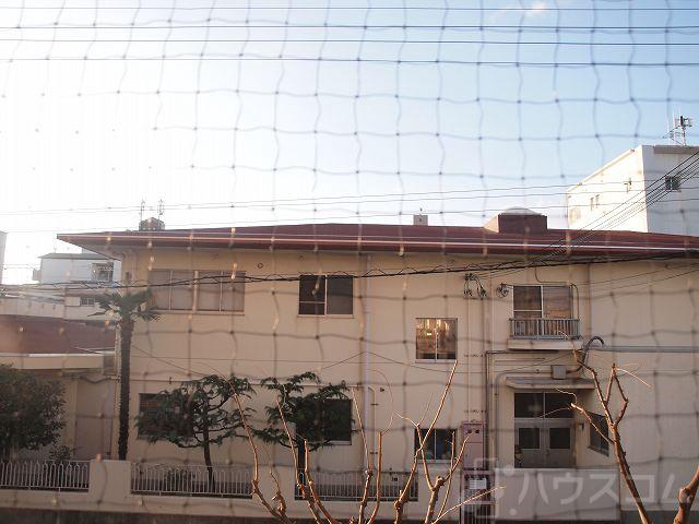 20/30 その他画像