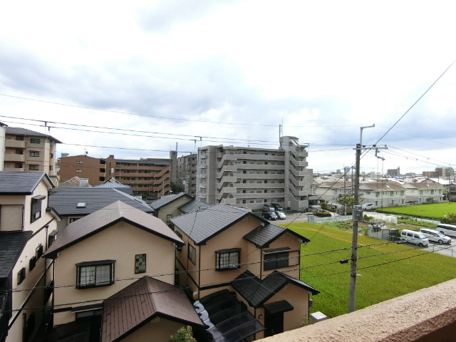 20/30 その他画像