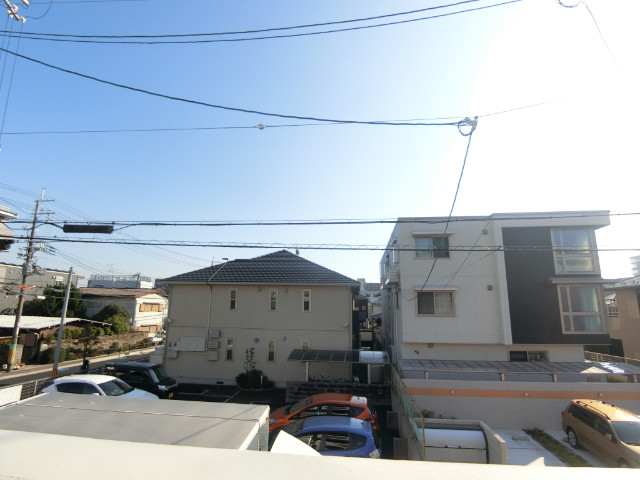 20/30 その他画像