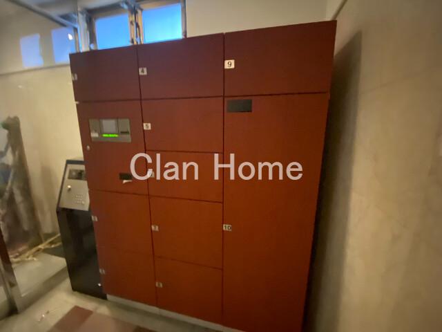 7/19 その他画像