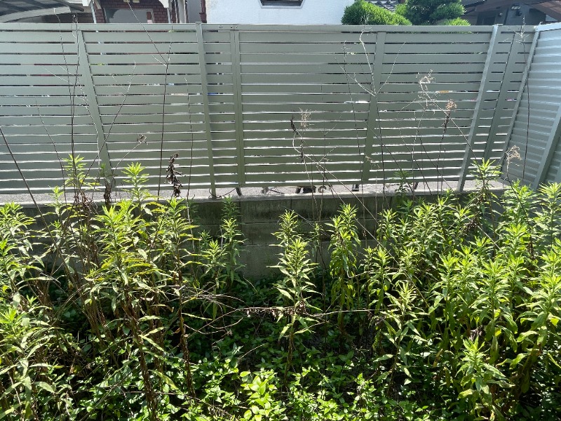 19/30 バルコニー