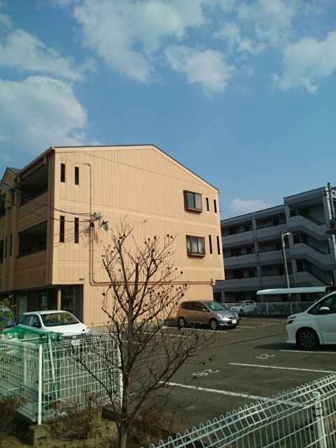 5/17 その他画像