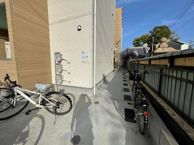 5/17 その他画像