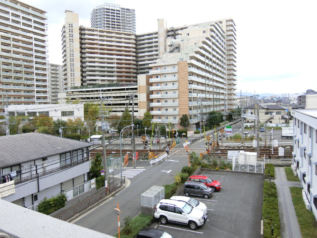 20/30 その他画像