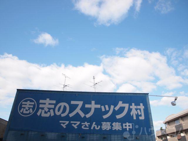 20/30 その他画像