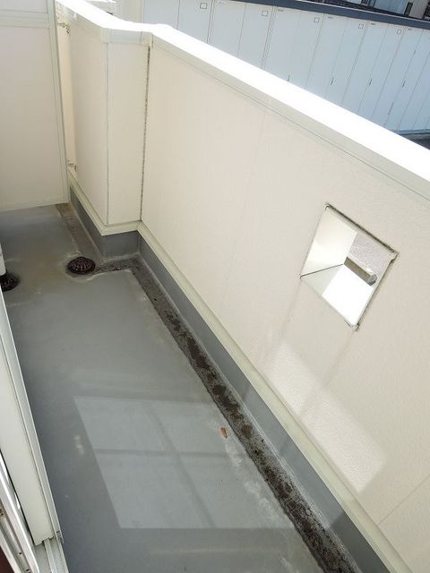 11/20 その他画像