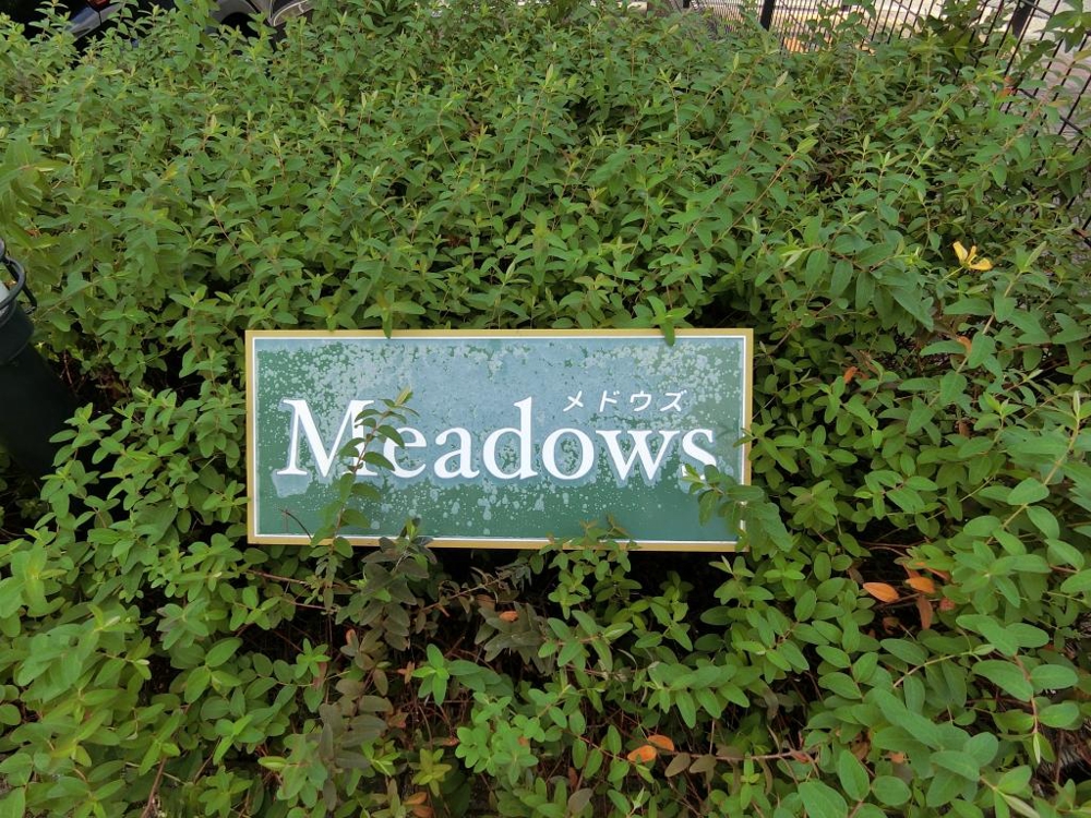 27/29 その他画像