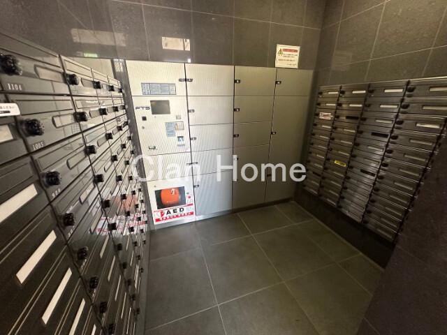 7/12 その他画像