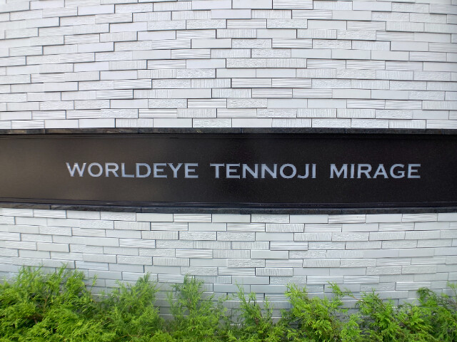 3/19 その他画像