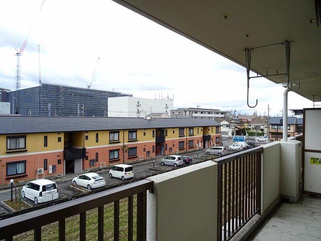 20/30 その他画像