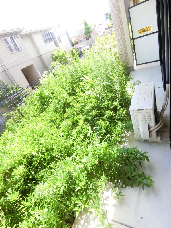 19/30 バルコニー