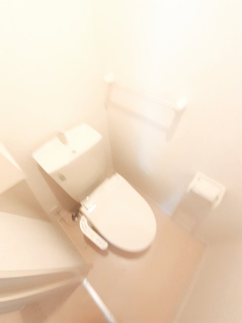 8/20 その他画像