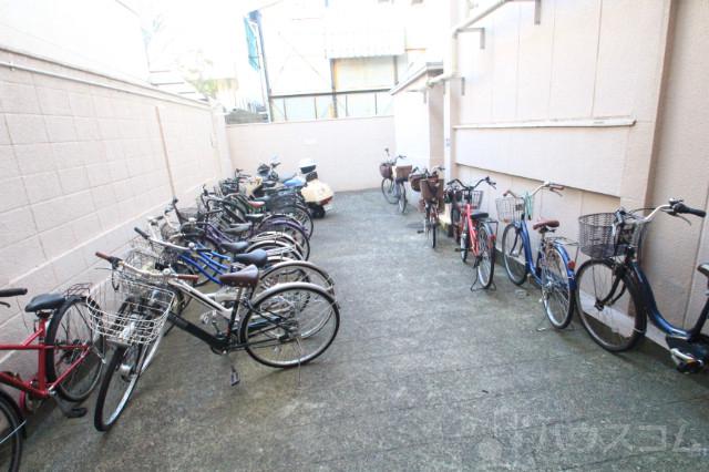 6/17 その他画像