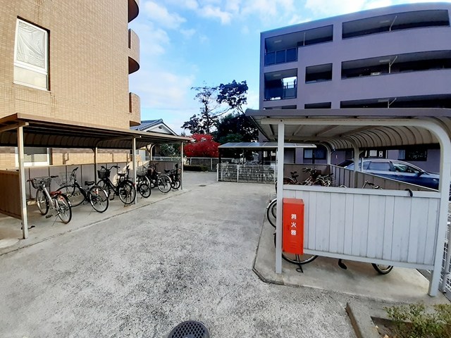 11/19 その他画像