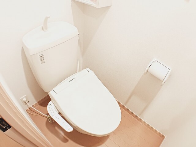 8/20 その他画像