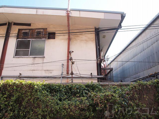 17/29 その他画像