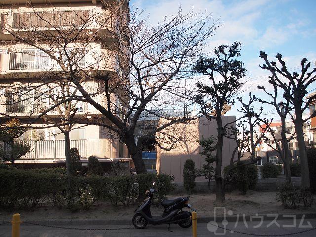 19/30 その他画像