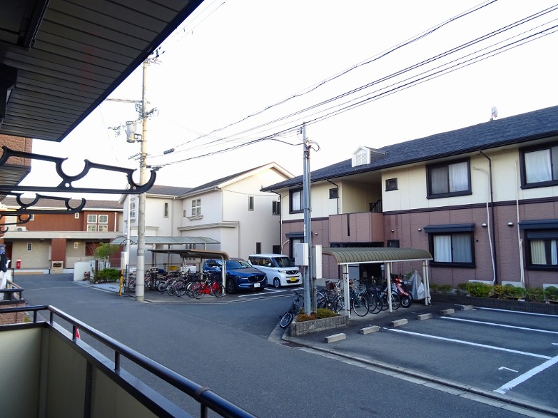 20/30 その他画像