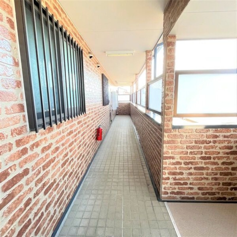 15/24 その他画像