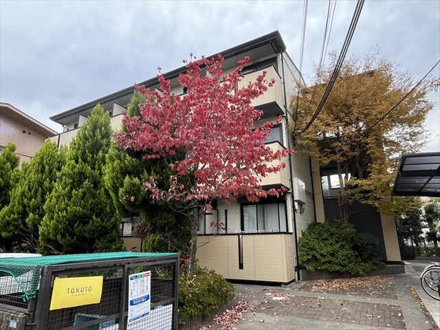 25/30 その他画像