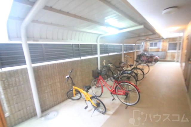 5/13 その他画像