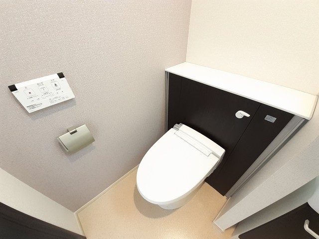 8/20 その他画像