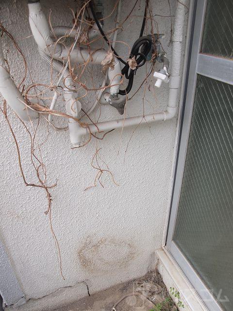 13/27 その他画像