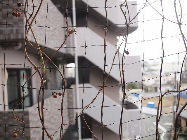 15/30 その他画像