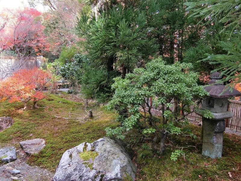 16/24 その他画像